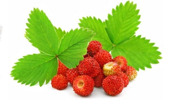Эликсир антианемический (30 мл)